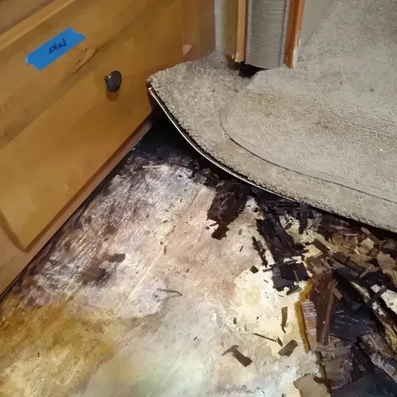 Wood Floor Water Damage in Lakeland North, WA